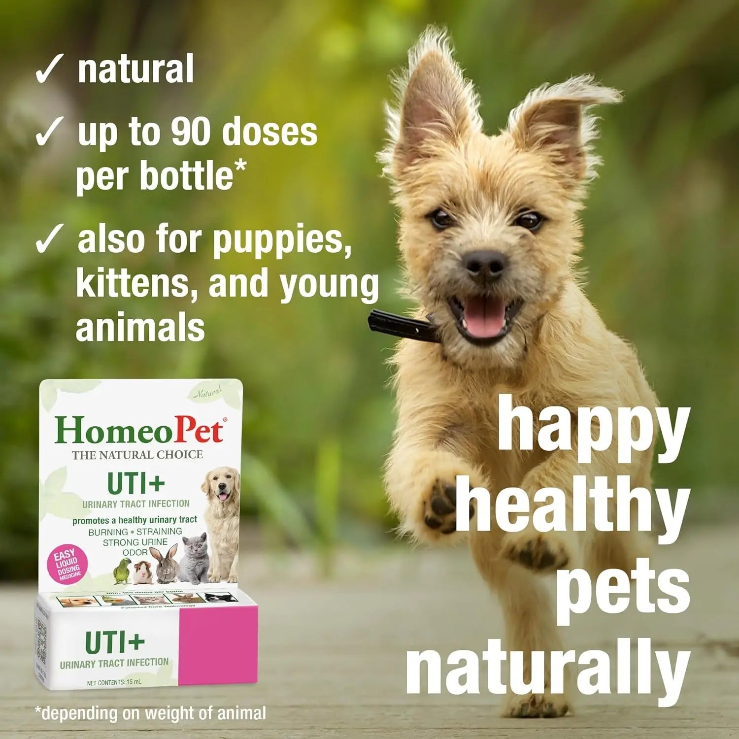 Cat UTI Relief Drops Natural Urinary Tract Support Supplement 15ml