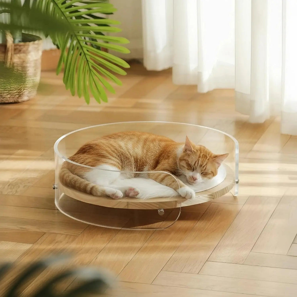 Clear Acrylic Cat Bed with Wooden Base | Modern Living Suite Pet Furniture