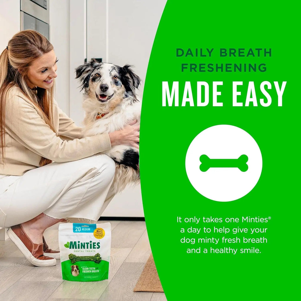 Minties Dental Dog Treats – Vet-Recommended Mint Bones for Clean Teeth
