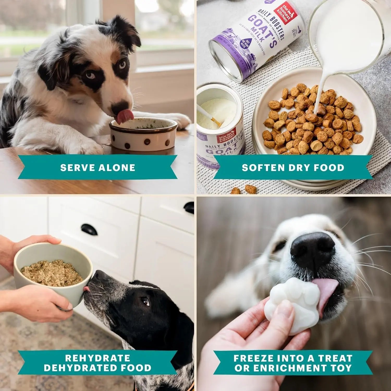Honest Kitchen Goat Milk Powder Probiotics for Dogs & Cats 5.2oz