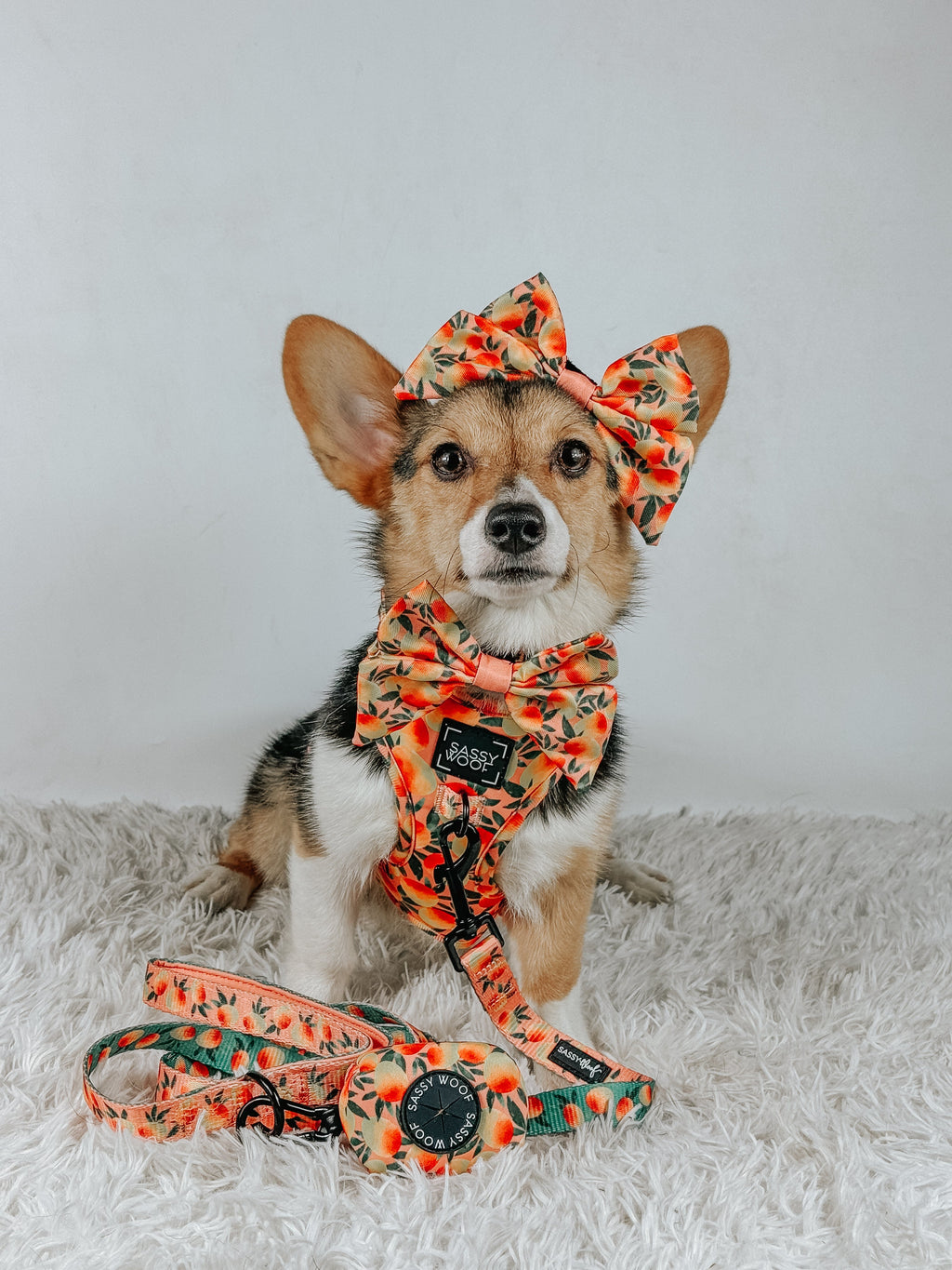 Dog Adjustable Harness - Mango Tango