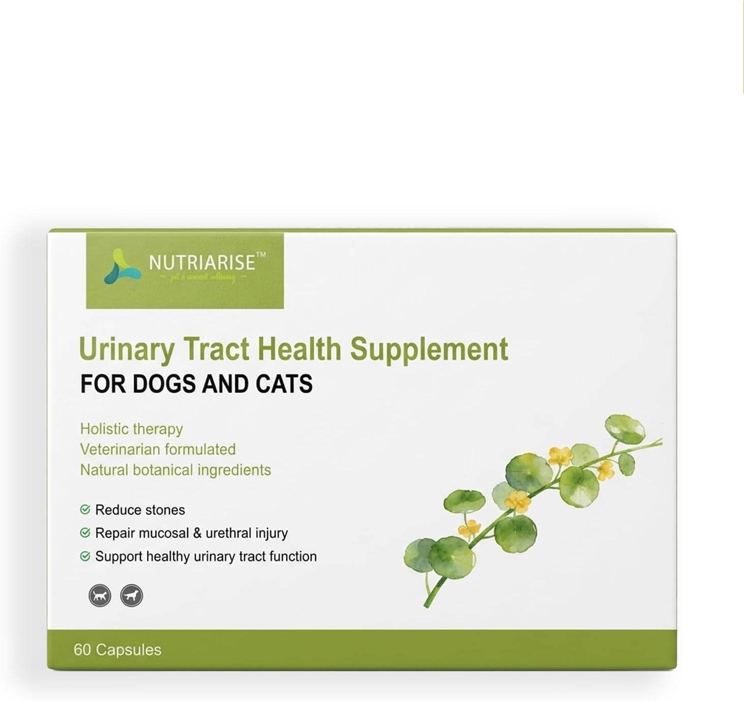 Dog Cat Urinary Tract Supplement Stone Breaker Bladder Kidney Crystal Support
