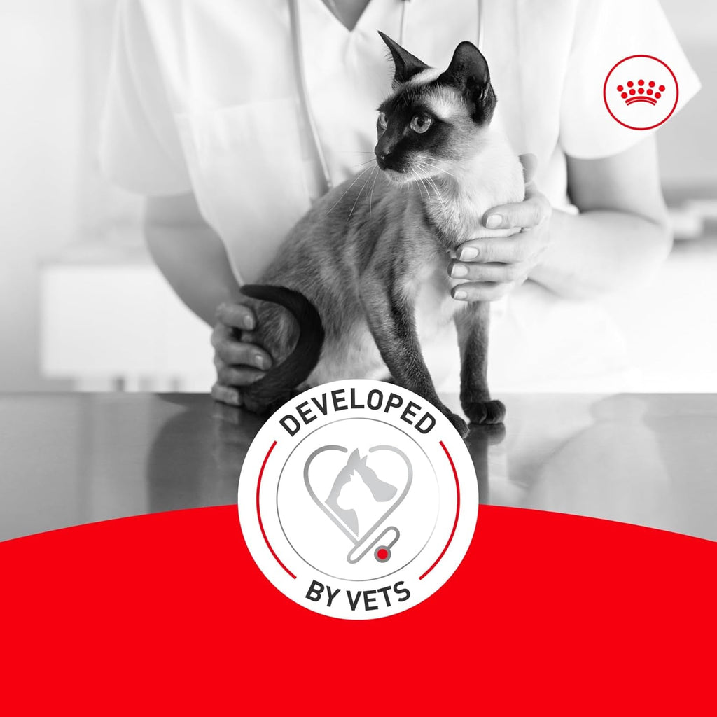 Senior Cat Wet Food 11+ Royal Canin Aging Thin Slices Gravy 3oz 12 Pack